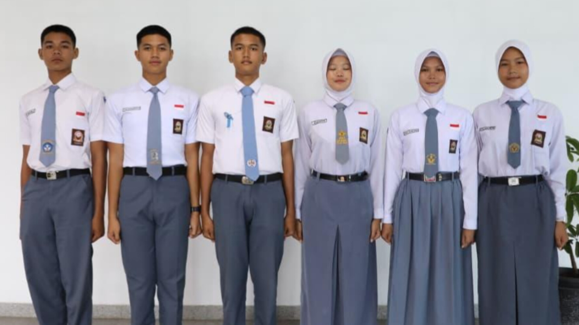 InShot 20260617