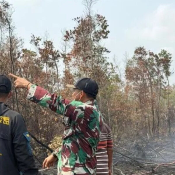 Bupati Belitung Apresiasi TNI-Polri-BPBD Padamkan Karhutla di Desa Keciput, Imbau Warga Tak Bakar Lahan