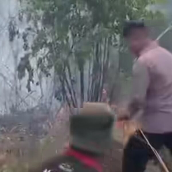 Lahan Kosong 1 Hektare di Belitung Timur Terbakar, Api Padam Setelah 2 Jam