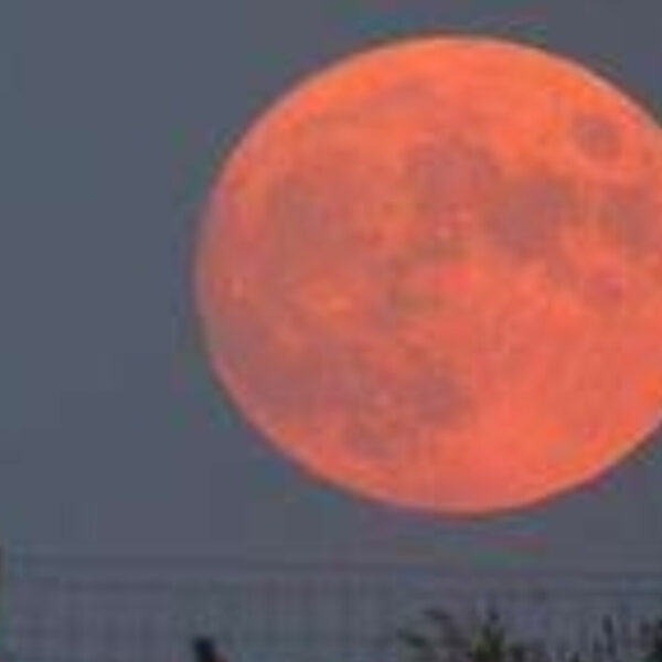 Fenomena Harvest Moon Hiasi Langit Malam Ini, Pasang Purnama Terjadi tapi Tidak Picu Bencana