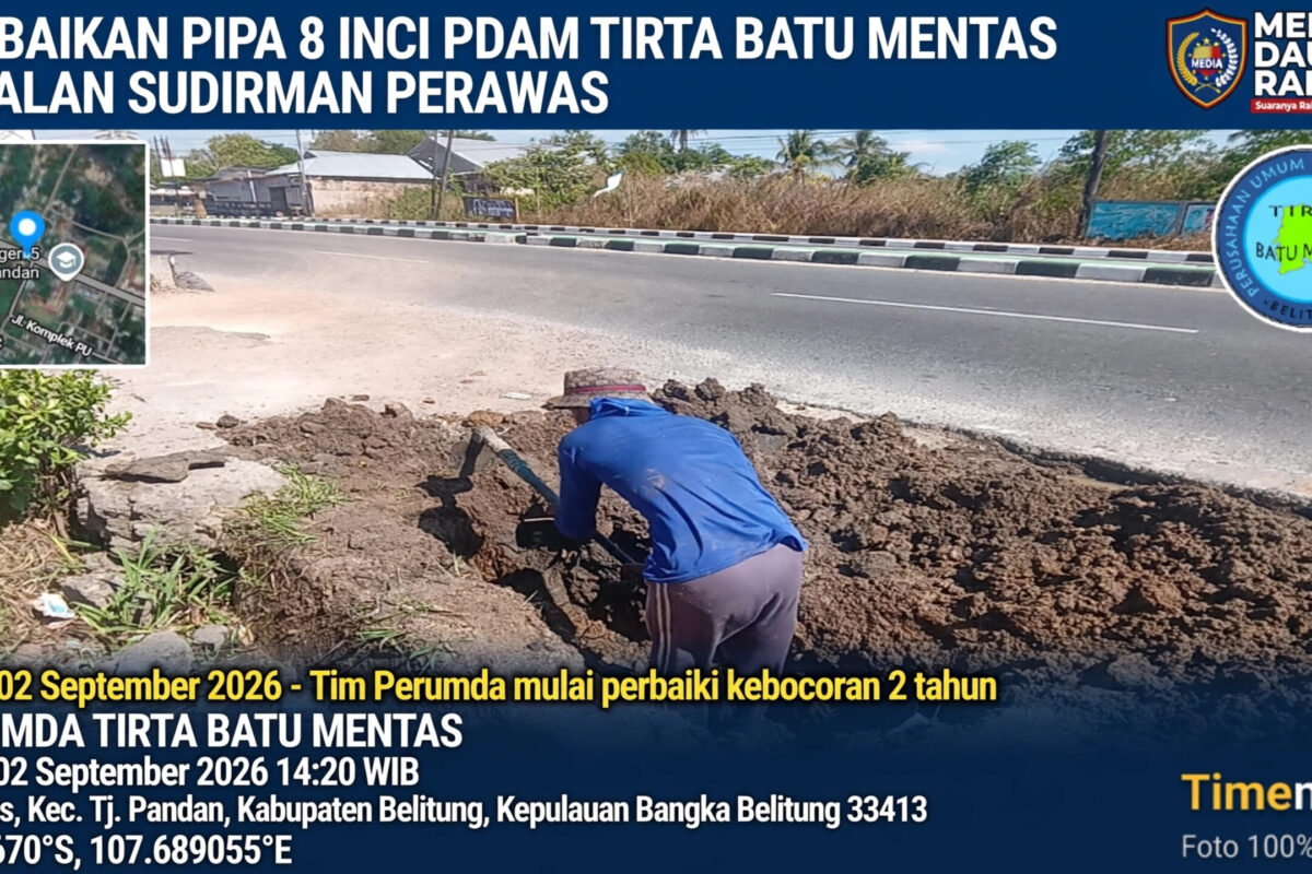 InShot 20261012