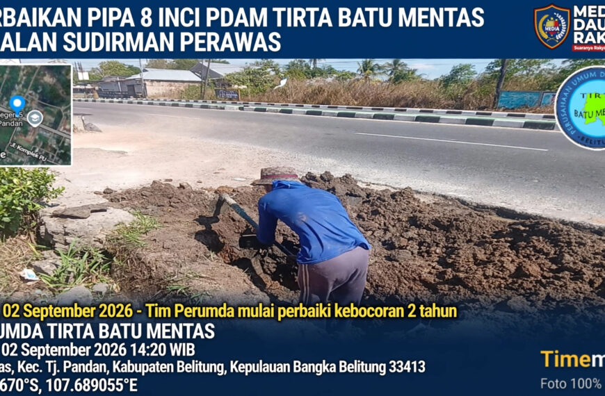 InShot 20261012