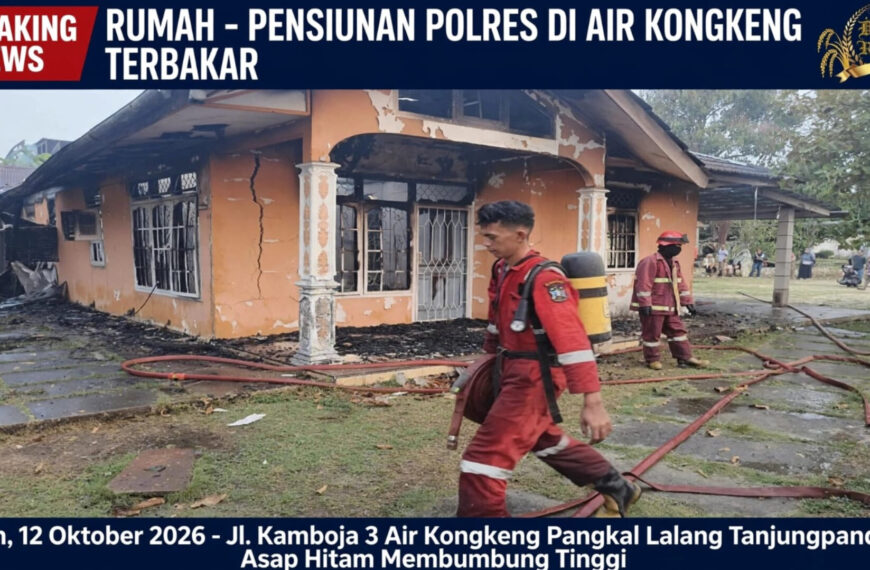 InShot 20261012